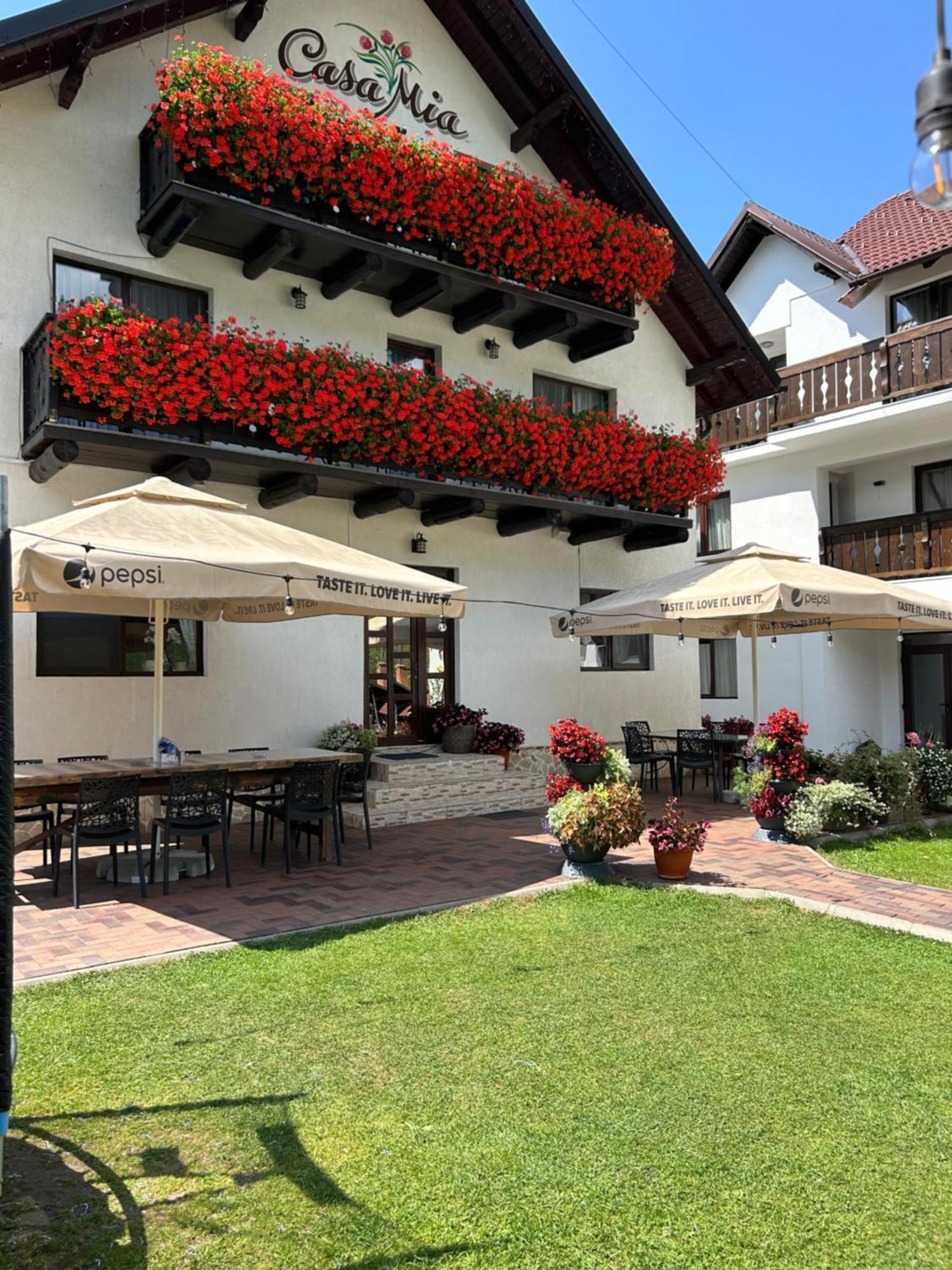 Hotel Casa Mia Moeciu De Sus Esterno foto