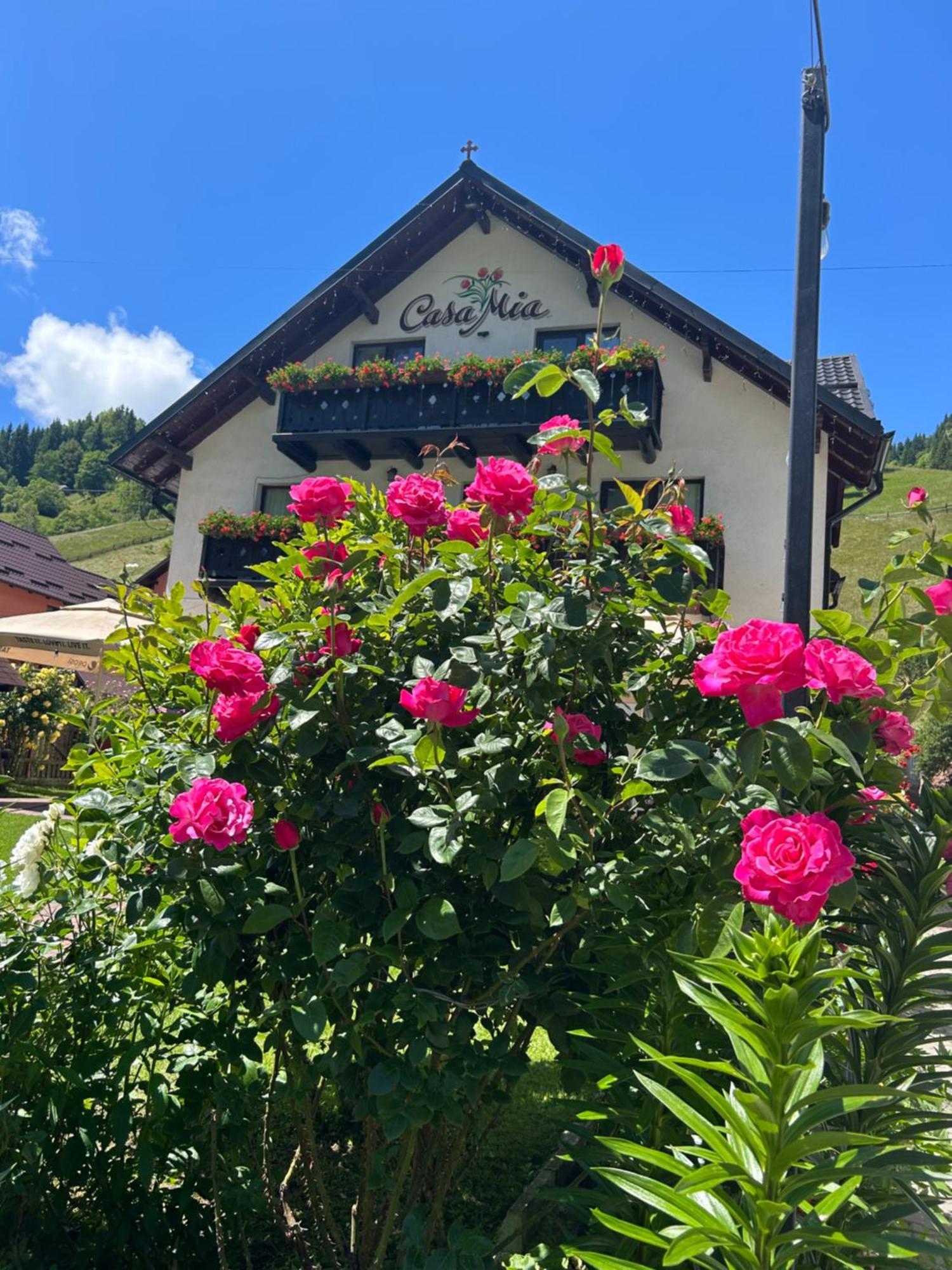 Hotel Casa Mia Moeciu De Sus Esterno foto